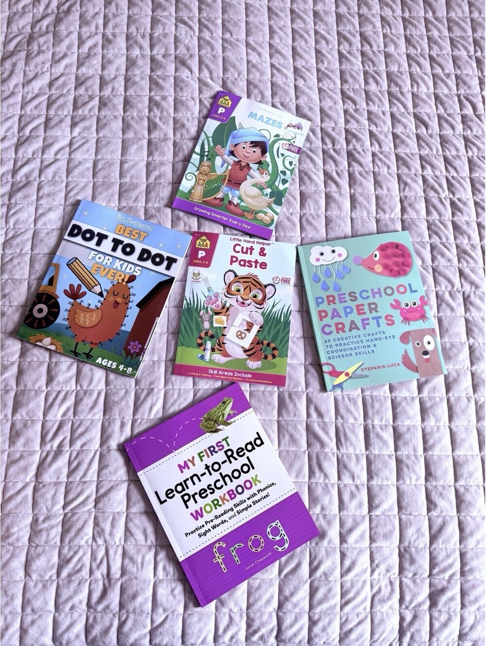 Preschool Activity Book Lot (6) – Mazes, Cut & Paste, Dot to Dot, Learn to Read